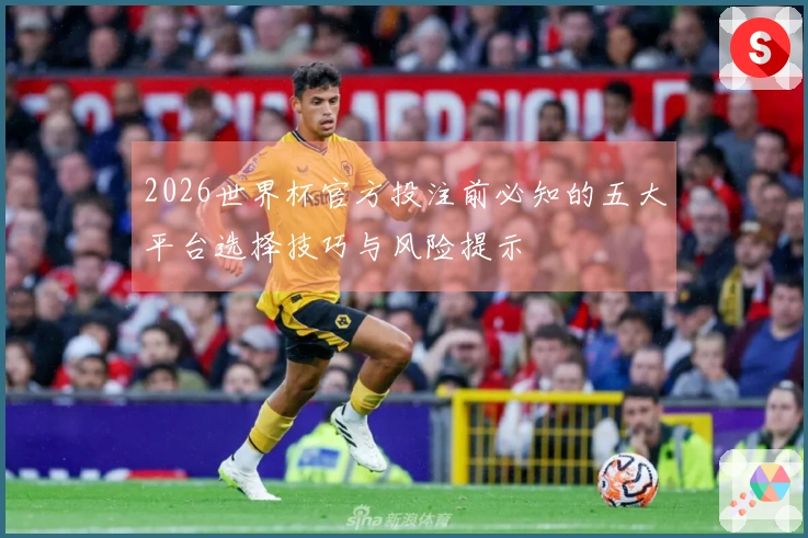 2026世界杯官方投注前必知的五大平台选择技巧与风险提示