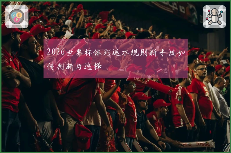 2026世界杯体彩返水规则新手该如何判断与选择