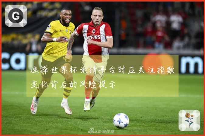 选择世界杯竞猜平台时应关注指数变化背后的风险提示