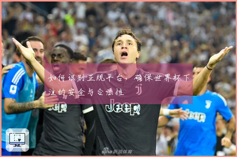 如何识别正规平台，确保世界杯下注的安全与合法性