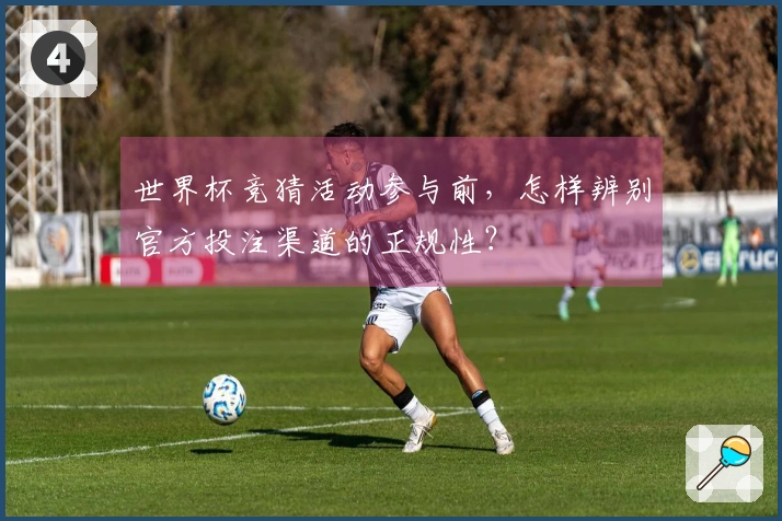 世界杯竞猜活动参与前，怎样辨别官方投注渠道的正规性？