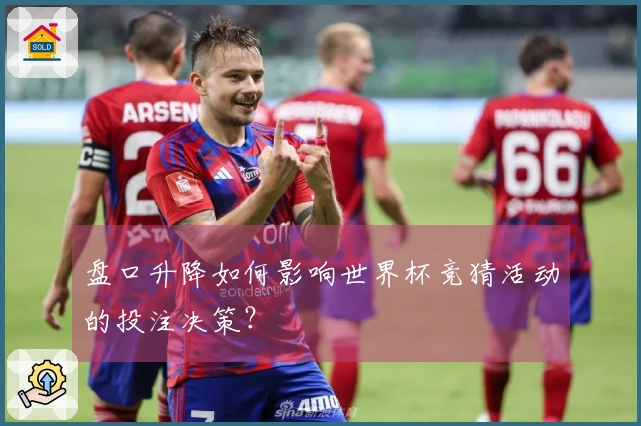 盘口升降如何影响世界杯竞猜活动的投注决策？