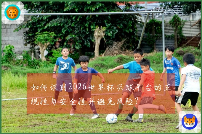 如何识别2026世界杯买球平台的正规性与安全性并避免风险？