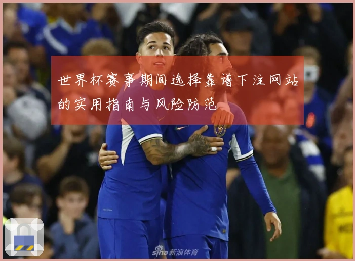世界杯赛事期间选择靠谱下注网站的实用指南与风险防范