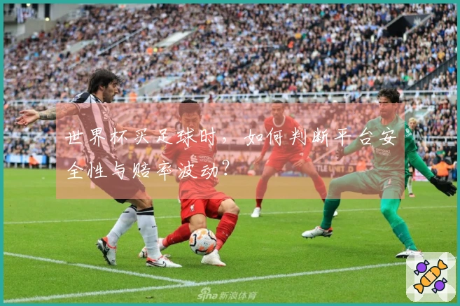 世界杯买足球时，如何判断平台安全性与赔率波动？