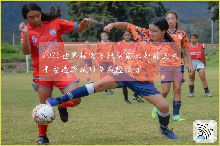 2026世界杯官方投注前必知的五大平台选择技巧与风险提示