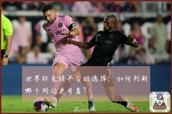 世界杯竞猜平台的选择：如何判断哪个网站更可靠？