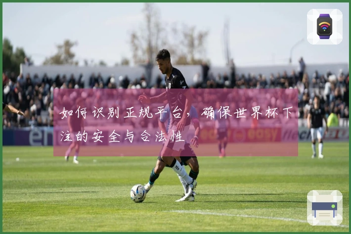 如何识别正规平台，确保世界杯下注的安全与合法性