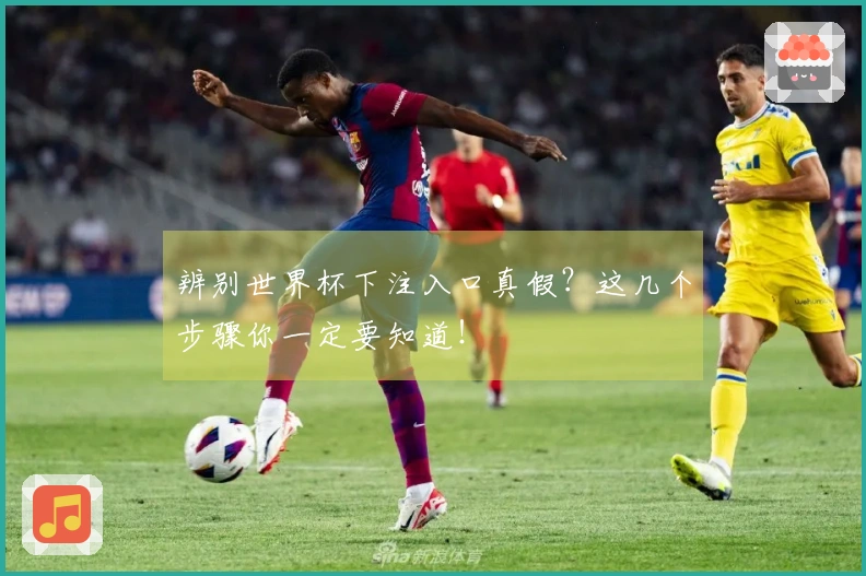 辨别世界杯下注入口真假？这几个步骤你一定要知道！
