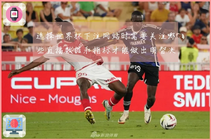 选择世界杯下注网站时需要关注哪些直播数据和指标才能做出明智决策