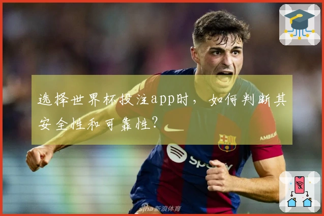 选择世界杯投注app时，如何判断其安全性和可靠性？